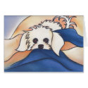 Fluffy Or Marilyn?  by Robyn Feeley cards