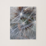 Fluffy (Parachute) Dandelion Seeds Jigsaw Puzzles