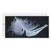 Fluffy photo cards