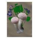 Fluffy Pink Mushrooms and Violets  posters