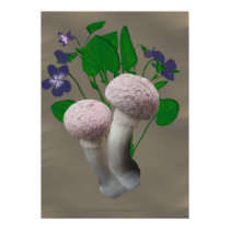 Fluffy Pink Mushrooms and Violets  posters