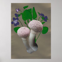 Fluffy Pink Mushrooms and Violets  Poster