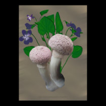 Fluffy Pink Mushrooms and Violets  posters