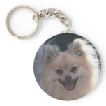 fluffy pomeranian dog keychains