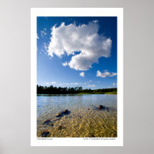 Fluffy Poster