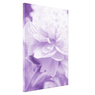 Fluffy Purple Peony 2 Wrapped Canvas Gallery Wrapped Canvas