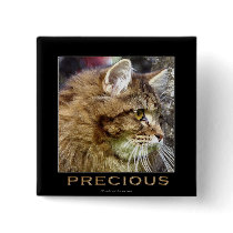 Fluffy TABBY CAT Buttons & Pins
