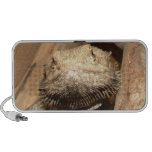 Fluffy the Dragon Doodle Speaker Cover