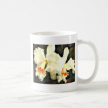 Fluffy White Cat...tleyas Mug