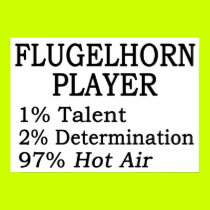 Flugelhorn Player Hot Air posters