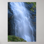 "Fluid Motion" Print