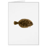 Fluke - Summer Flounder Card