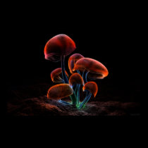 Fluorescence (2009) posters