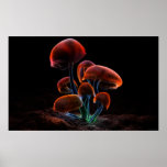 Fluorescence (2009) posters