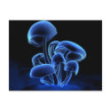 Fluorescence Postcard by digitalblasphemy Fluorescence Postcard