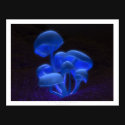 Fluorescence posters by digitalblasphemy Fluorescence posters
