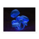 Fluorescence posters by digitalblasphemy Fluorescence posters