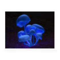 Fluorescence posters by digitalblasphemy Fluorescence posters