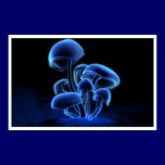 Fluorescence posters
