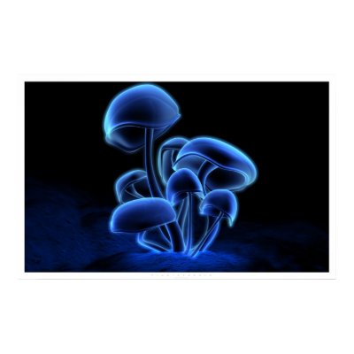 Fluorescence Print by digitalblasphemy