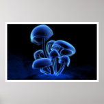 Fluorescence posters
