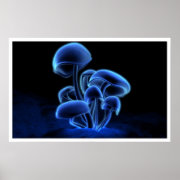 Fluorescence print