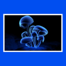 Fluorescence Print