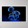 Fluorescence Print