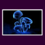 Fluorescence Print
