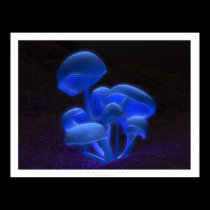 Fluorescence posters