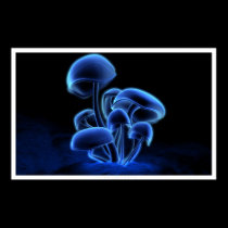 Fluorescence posters