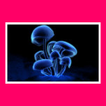 Fluorescence posters