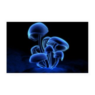 Fluorescence print