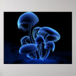 Fluorescence Print