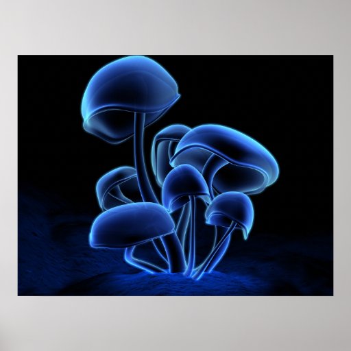 Fluorescence Print