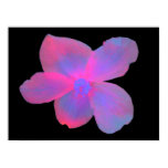 begonia print, flower print, fluorescent print,
