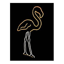 Fluorescent Flamingo Post Card