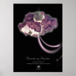 FLUORITE ON FLUORITE POSTERS