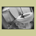 Flush Down the Toilet posters