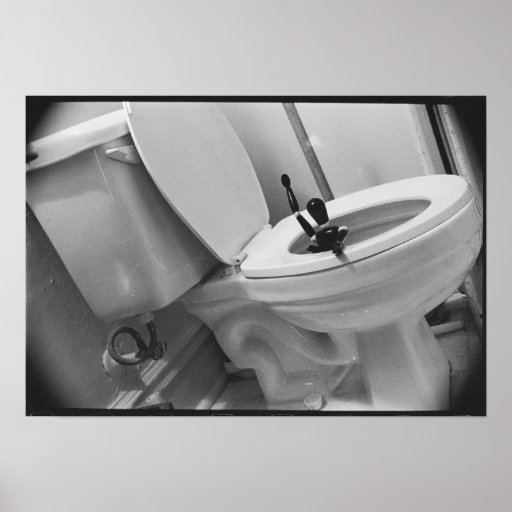Flush Down the Toilet Poster Zazzle