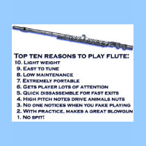 marching band t-shirt: Top 10 Reasons to Play Flute