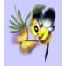 Flutter and Buzz print