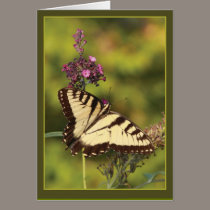 Flutter by cards by Jack_of_Arts Flutter by cards