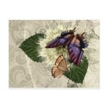 Flutter Magic Postcard