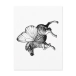 Flutter Zebra postcards by Rfarrelldesign Flutter Zebra postcards