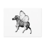 Flutter Zebra postcards by Rfarrelldesign Flutter Zebra postcards