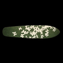 Flutterbies on Boards skateboards