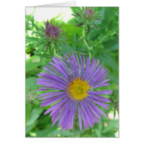 Fluttering Flower Blank Card by mulberry1 Fluttering Flower Blank Card