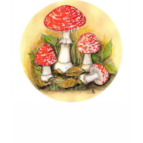 Fly Agaric Collection t-shirts by Szubogi Fly Agaric Collection t-shirts