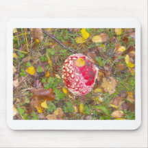 Fly Agaric Fungi Mousemats